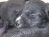 photo30_small.jpg