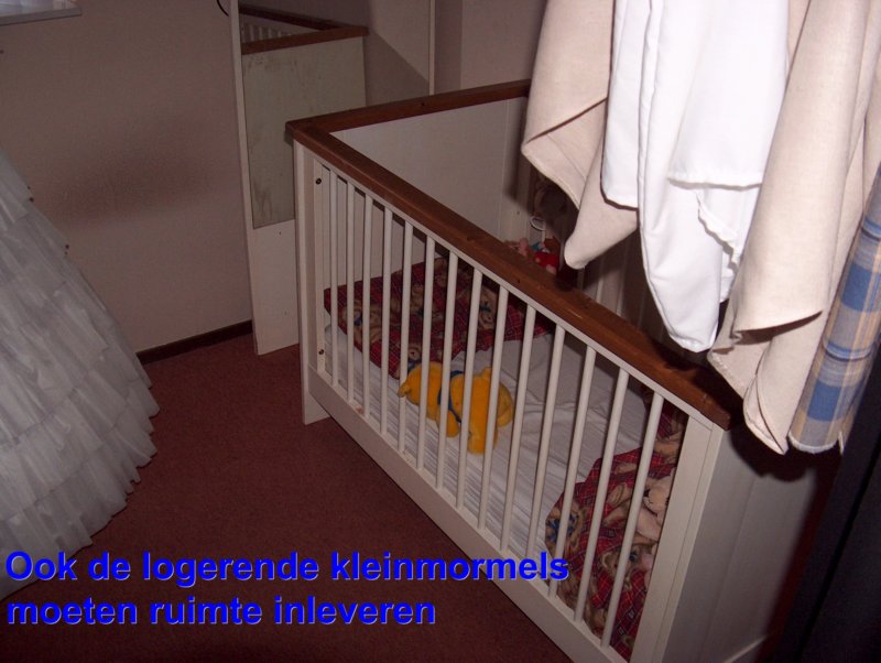 hpim8521.jpg